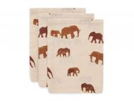 Jollein Hydrofiele Washandjes Savannah 3 Stuks