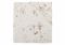 Jollein Hoeslaken Jersey 60x120cm Tiny Park