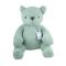 Baby's Only Beer 35 cm Uni Kabel Mint Baby's Only Beer 35 cm Uni Kabel Mint