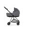 Cybex Mios Kinderwagen 2 In 1 Simply Flowers Dream Grey 2022