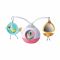 Tiny Love Muziekmobiel Tummy Time Princess Tales Tiny Love Muziekmobiel Tummy Time Princess Tales