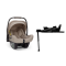 Nuna Autostoel PIPA™ next Chateau + Nuna Isofix 360° Base Next