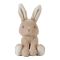 Little Dutch Knuffel Baby Bunny 15 cm
