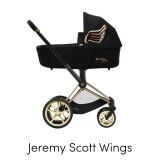 Cybex Wings