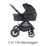 2 in 1 kinderwagens